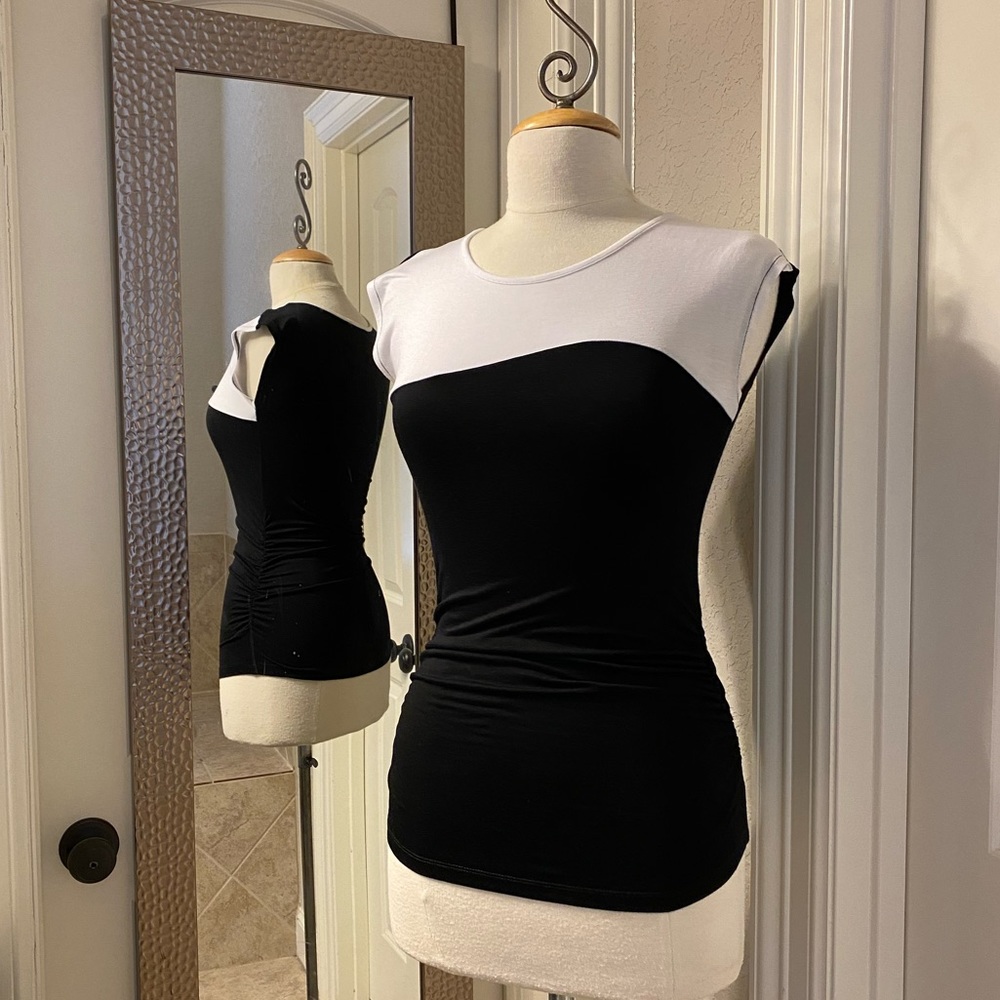 The Limited Top - image 1